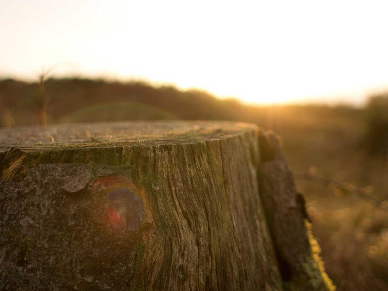 sudoku relaxing gameplay screenshot 5